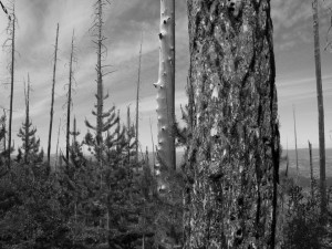 Sherman Peak