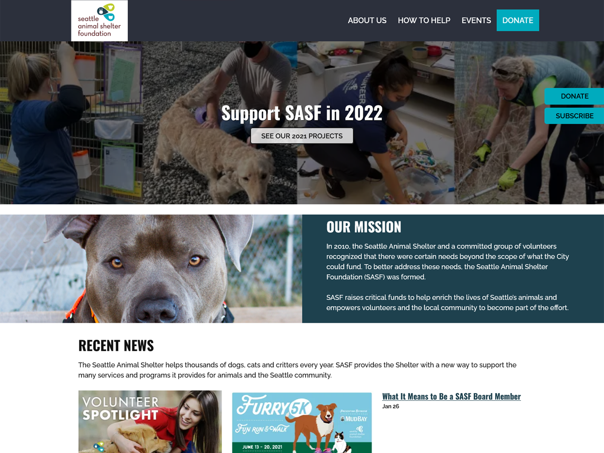 animal shelter website