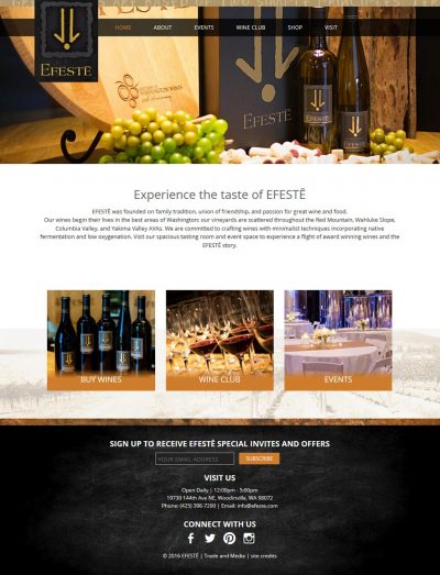 screenshot EFESTE winery website